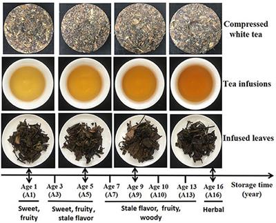 Identification of characteristic aroma and bacteria related to aroma evolution during long-term storage of compressed white tea